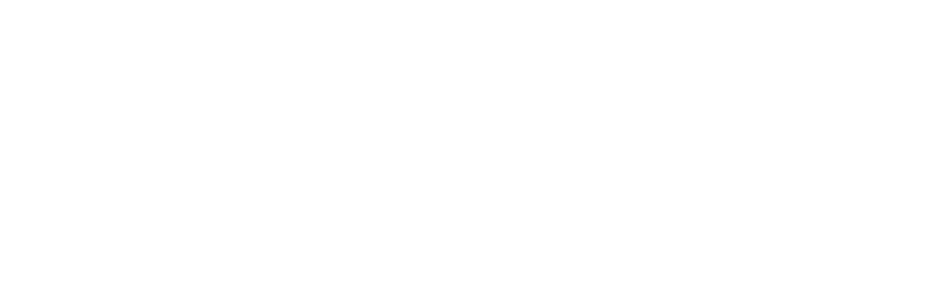 Operation Erfolg