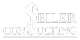 Seiler Consulting Logo